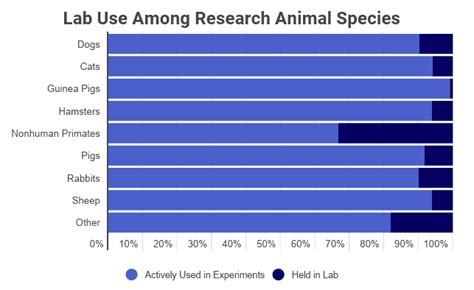 Animal Testing Statistics [2020]: Facts & Trends by Year