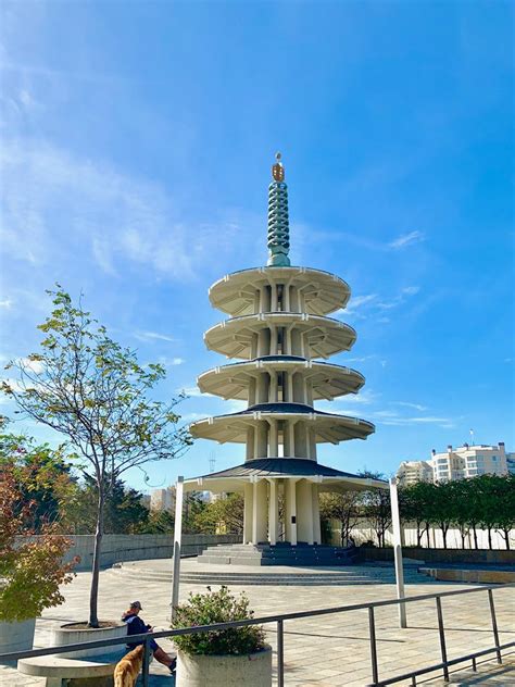 What to Do & See: San Francisco's Japantown(UPDATED JAN 2021) - The Window Seat Nomad