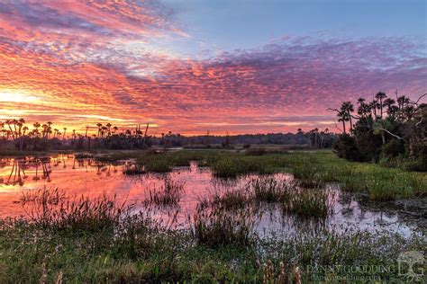 Early this morning at Orlando Wetlands in central Florida [OC] [1280854] #reddit | Wetland ...