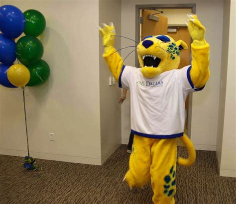 UNT Dallas unveils new mascot Jagger the Jaguar | News | Dallas News