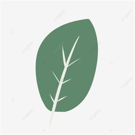 Aesthetic Green Leaf, Aesthetic, Green, Leaf PNG Transparent Clipart Image and PSD File for Free ...