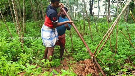 Tapioca Harvesting Tool For Easy Harvest/Cassava Harvester - YouTube