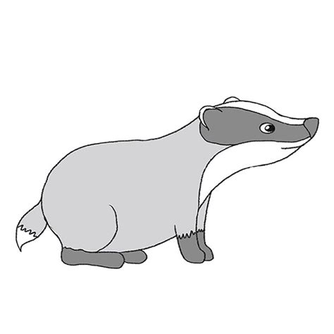 Top 133 + Cartoon badger pictures - Delhiteluguacademy.com