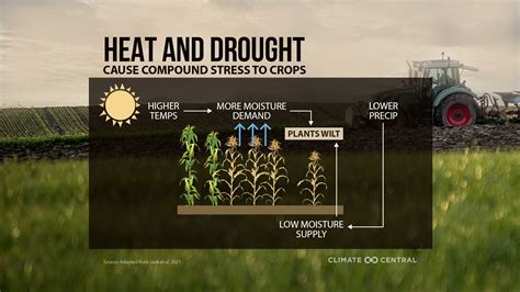 Climate Change & Crops | Climate Central