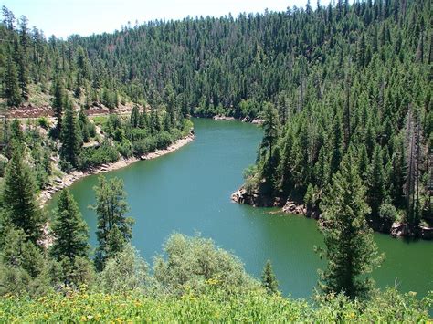 Blue Ridge Reservoir camping in AZ. We have been here several times and it is peaceful as well ...