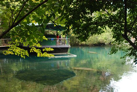 Homosassa Springs Wildlife State Park | Florida Hikes