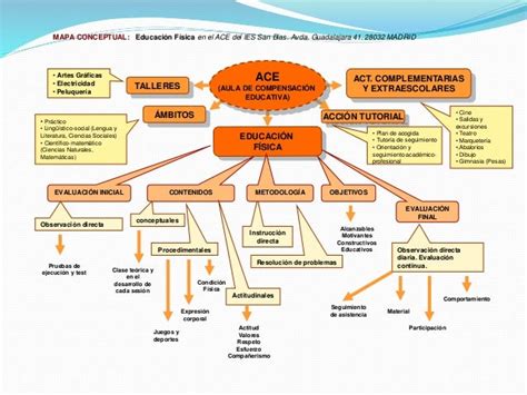 Mapas conceptuales educación física