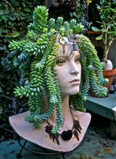 Creative Indoor And Outdoor Succulent Garden Ideas 2022 | Diy garden projects, Garden projects ...