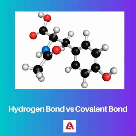 Hydrogen Bonds vs Covalent Bonds: Difference and Comparison