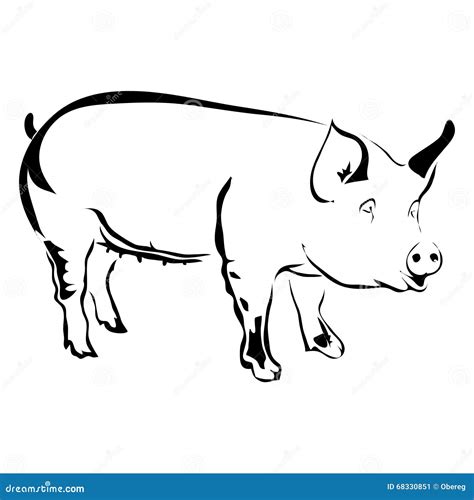 Outline Pig Vector Illustration. Stock Vector - Illustration of silhouette, pork: 68330851