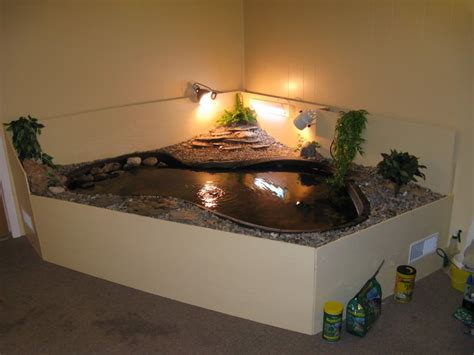 Request: Pics of aquatic turtle setups | Turtle habitat, Aquatic ...