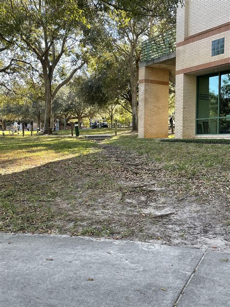 USF Tampa Campus : r/DesirePath