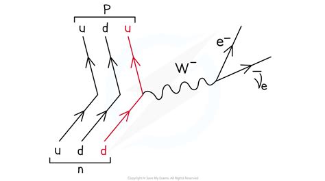 AQA A Level Physics复习笔记2.3.4 Feynman Diagrams-翰林国际教育