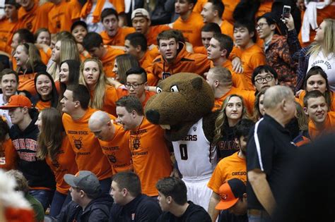 Oregon State men's basketball preview 2016-17: Meet the Beavers - oregonlive.com