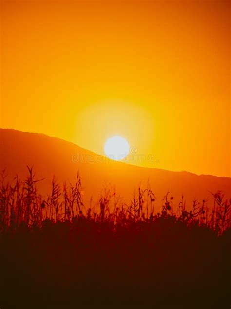 Sunrise over mountain hill stock photo. Image of meadow - 114369206