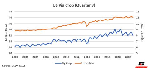 Hog Market Update: March 2023