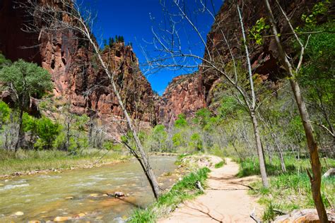 Zion National Park: Riverwalk Trail – The Adventures of Trail & Hitch