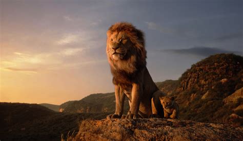 The Lion King 4k, HD Movies, 4k Wallpapers, Images, Backgrounds, Photos ...