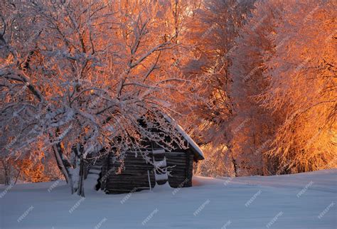 Premium Photo | Barn in winter landscape with snow field trees in sunset village landcape