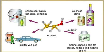 Uses of Ethanol - Assignment Point