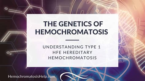 Type 1 Hereditary Hemochromatosis & HFE Gene | Hemochromatosis Help