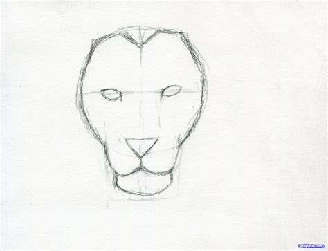 Lion Face Drawing Pics - Drawing Skill