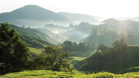 Chiang Mai mountains : r/chiangmai