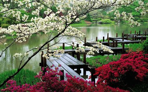 Japanese Garden Cherry Blossom Wallpapers - Top Free Japanese Garden ...