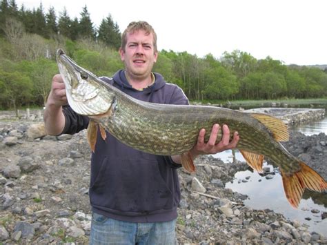 Coarse & Pike Fishing Locations in Northern Ireland - Fishing Holidays Ireland