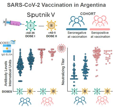 One Shot of the Sputnik V COVID-19 Vaccine Triggers Strong Antibody Responses