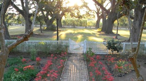 Cane River Creole National Historical Park (U.S. National Park Service) | National parks, Park ...