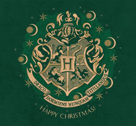 Harry Potter Christmas cards - YouLoveIt.com