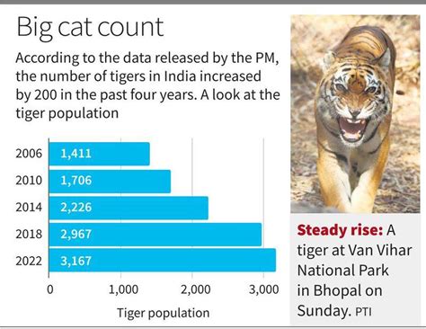 Bengal Tiger Population 2024 - Shea Shanon