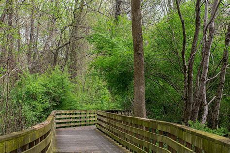 7 Family Friendly Hiking Trails To Explore in North Georgia