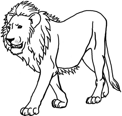 Lion Outline Coloring Page Animal Outline | Images and Photos finder