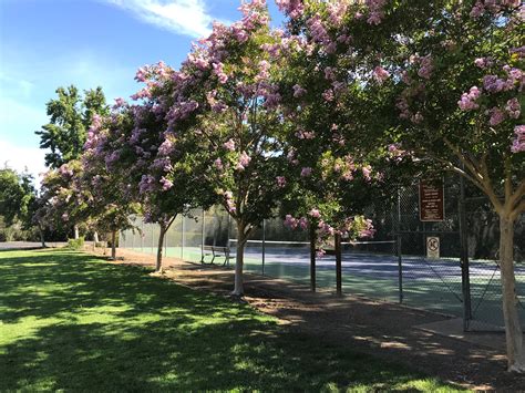 La Rinconada Park | The Los Gatos CA Official Site!