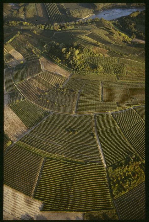 #Italian #Vigneti #Vineyards #Vinhedos - #Piemonte #wine #vino Piedmont ...