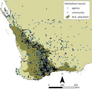 (PDF) Malleefowl Conservation - informed and integrated community action