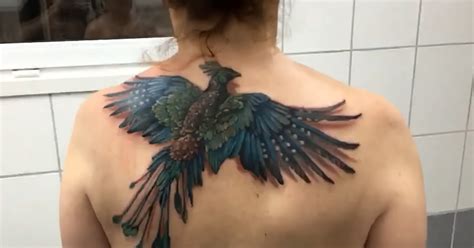 Incredible Flying Phoenix Tattoo | Bored Panda