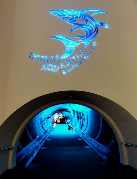 TRAVEL AND LIFESTYLE DIARIES - : A walk through the tunnel of Dubai ...