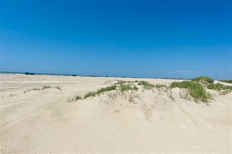 San Luis Beach - Dog Friendly Beach On Galveston's West End