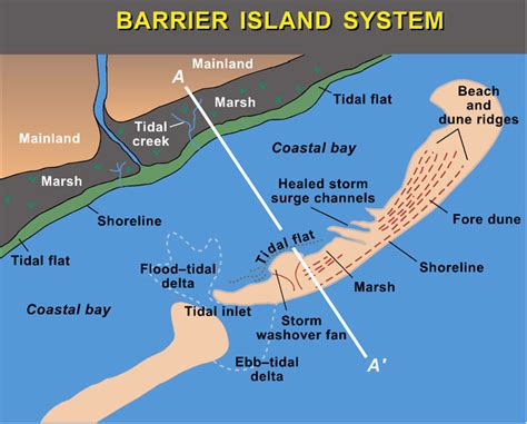 Baymouth Bar Diagram