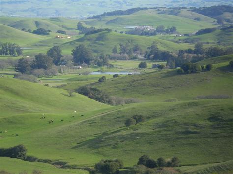 Novato, CA...lived here for 3 and a half years. Places Ive Been, Places To Go, Marin County ...