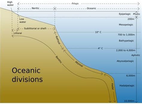 Map Of Ocean Floor Depths | Minimalist Home Design Ideas