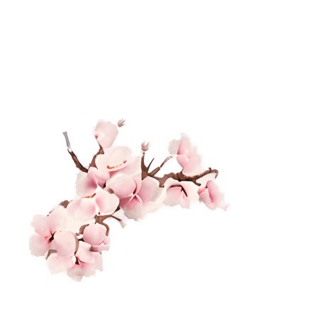 Watercolor Cherry Blossom Branch · Creative Fabrica