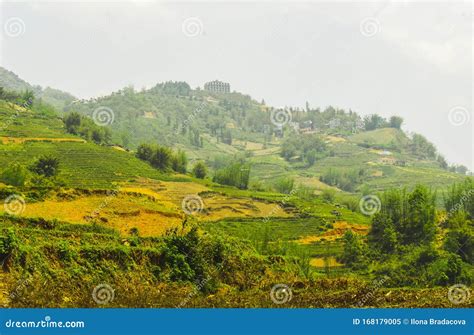 The rice terraces in Sapa stock image. Image of agriculture - 168179005