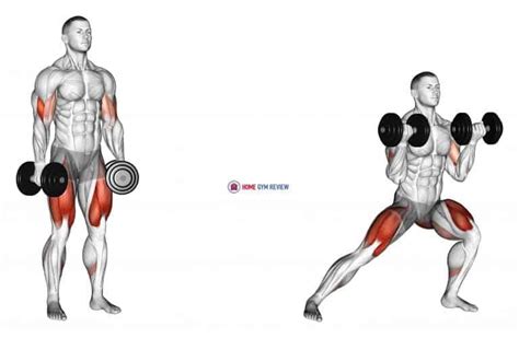 Dumbbell Lateral Lunge with Bicep Curl - Home Gym Review