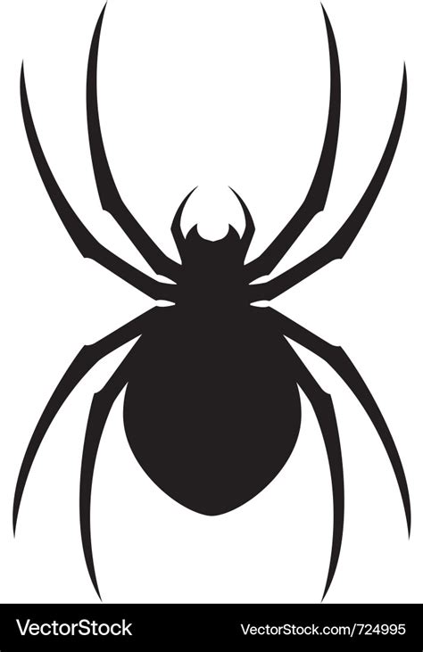 Spider design Royalty Free Vector Image - VectorStock