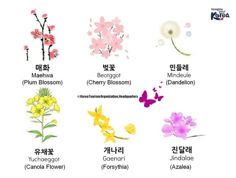 Pin de Sammie en 한국어 | Palabras coreanas, Significado de las flores, Nombres de flores