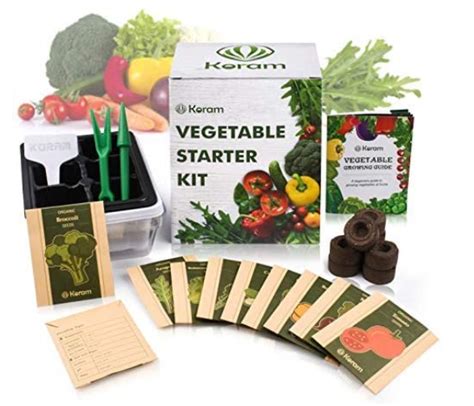 Vegetable Garden Kit For Beginners - the hobby